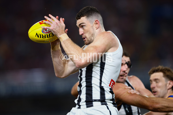 AFL 2025 Round 06 - Brisbane v Collingwood - A-58631953