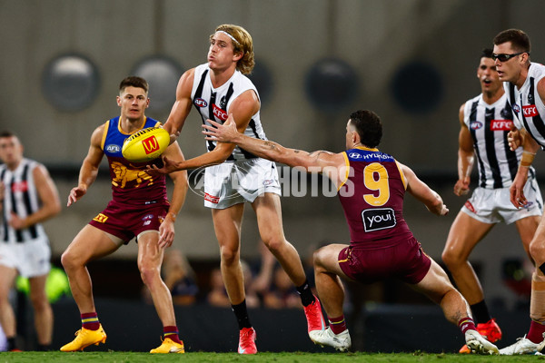 AFL 2025 Round 06 - Brisbane v Collingwood - A-58651472