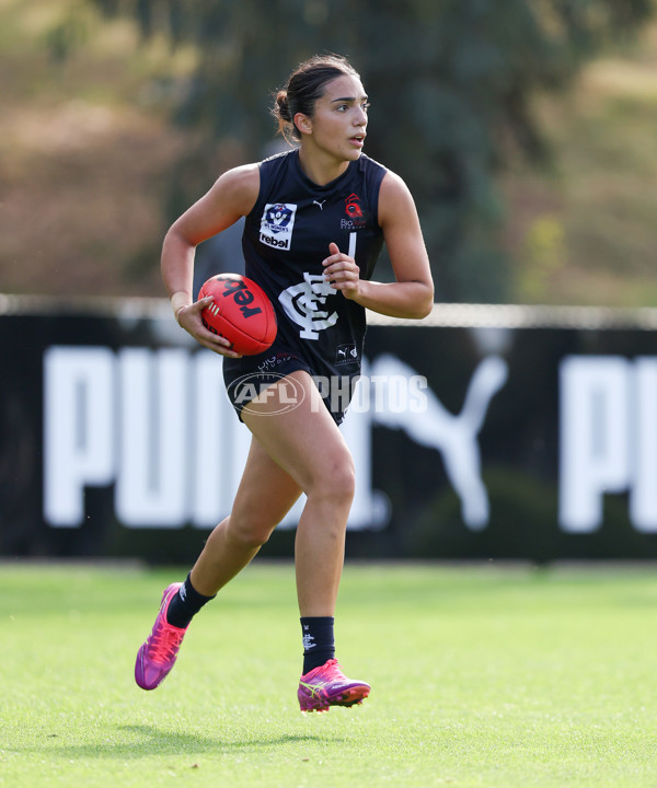 VFLW 2025 Round 01 - North Melbourne v Carlton - A-58659727