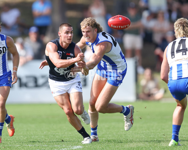 VFL 2025 Round 04 - North Melbourne v Carlton - A-58659774