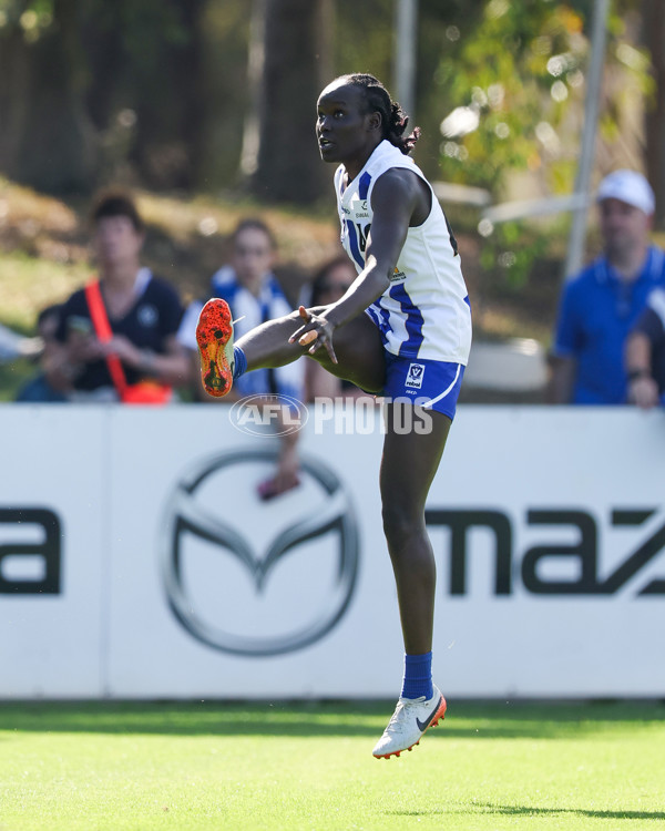 VFLW 2025 Round 01 - North Melbourne v Carlton - A-58722151