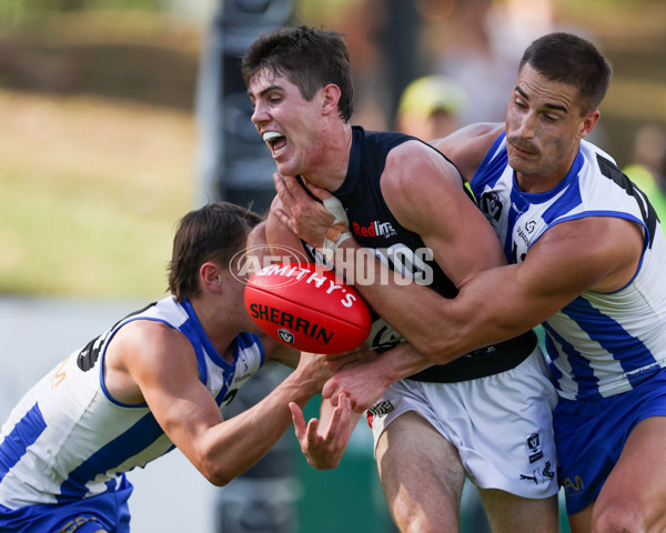VFL 2025 Round 04 - North Melbourne v Carlton - A-58746011