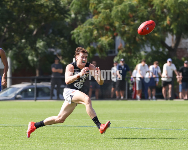 VFL 2025 Round 04 - North Melbourne v Carlton - A-58757575