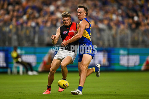 AFL 2025 Round 06 - West Coast v Essendon - A-58763987