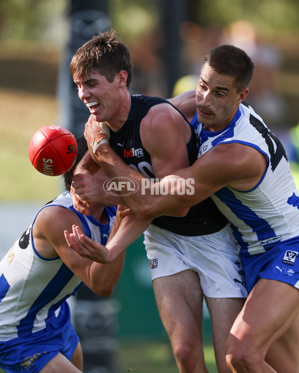 VFL 2025 Round 04 - North Melbourne v Carlton - A-58765646