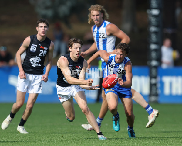 VFL 2025 Round 04 - North Melbourne v Carlton - A-58765674