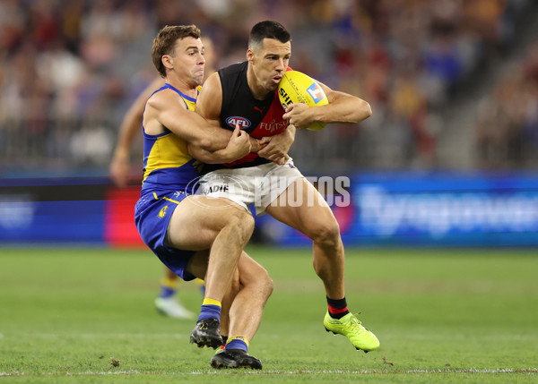 AFL 2025 Round 06 - West Coast v Essendon - A-58768823