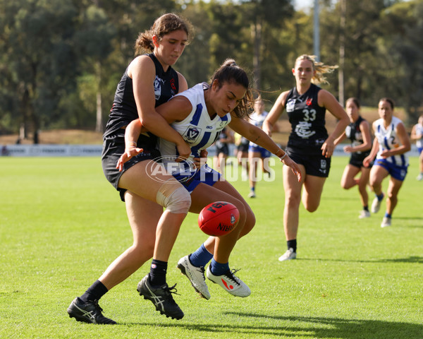 VFLW 2025 Round 01 - North Melbourne v Carlton - A-58771026
