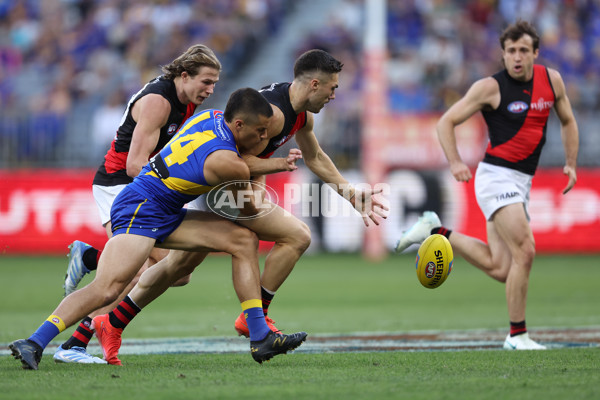 AFL 2025 Round 06 - West Coast v Essendon - A-58771046