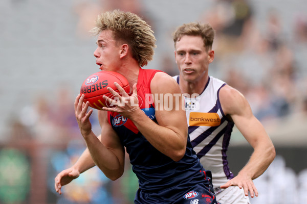 AFL 2025 Round 06 - Melbourne v Fremantle - A-58777488