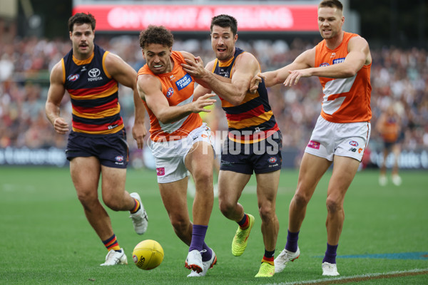 AFL 2025 Round 06 - Adelaide v GWS - A-58780459