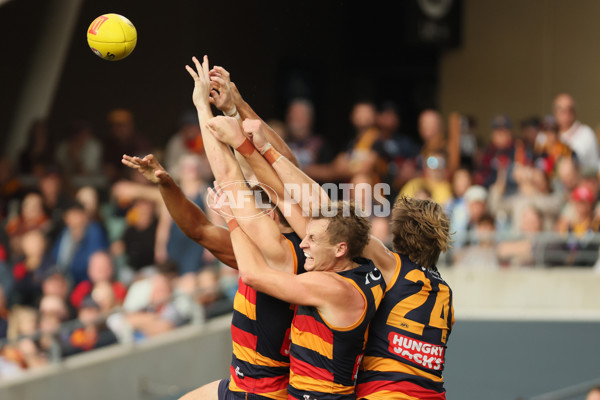 AFL 2025 Round 06 - Adelaide v GWS - A-58781971