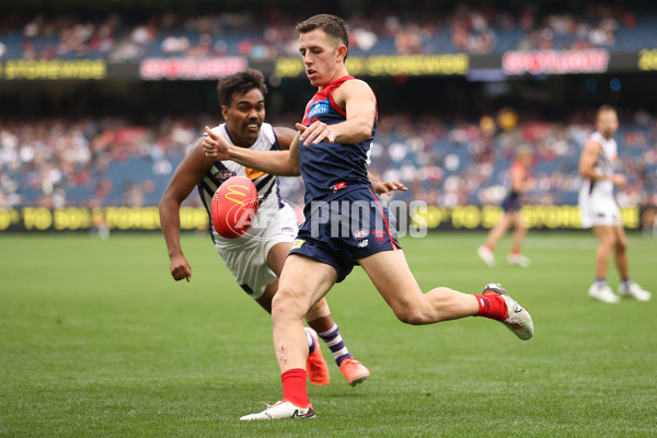 AFL 2025 Round 06 - Melbourne v Fremantle - A-58783311