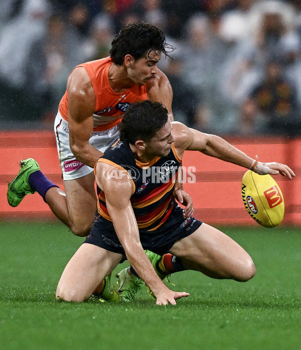 AFL 2025 Round 06 - Adelaide v GWS - A-58794471