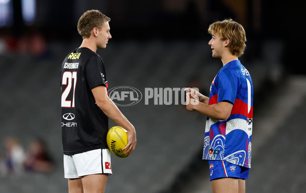AFL 2025 Round 06 - Western Bulldogs v St Kilda - A-58821029