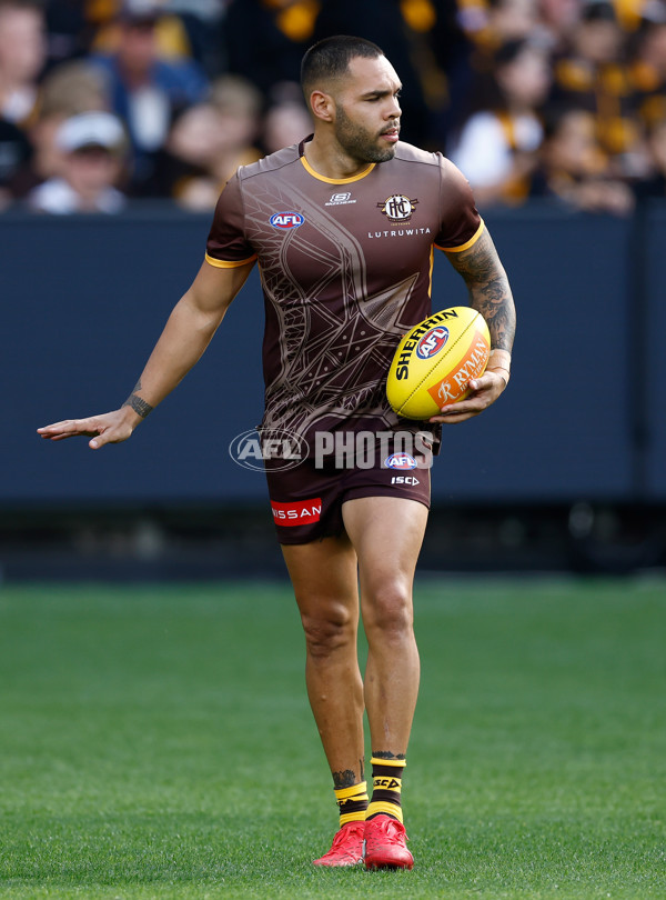 AFL 2025 Round 06 - Geelong v Hawthorn - A-58835443