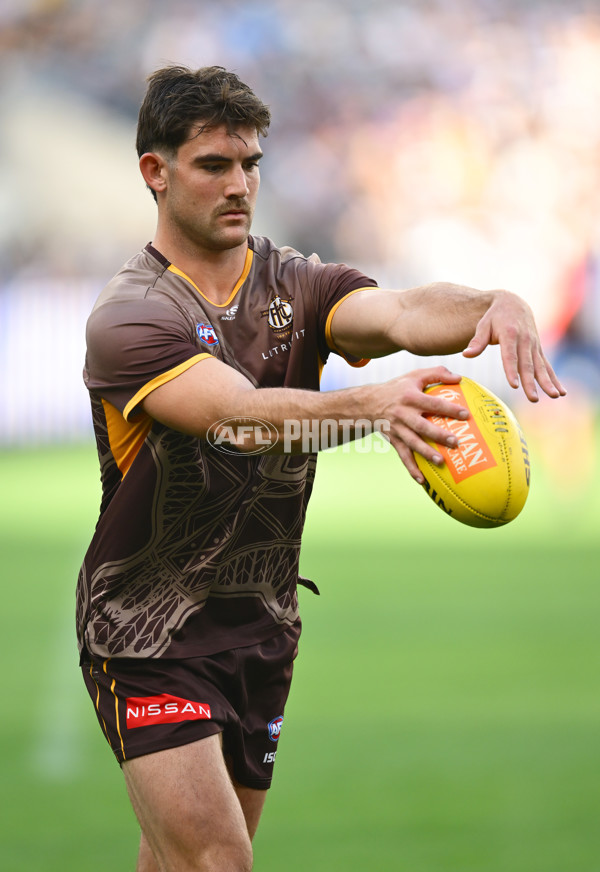 AFL 2025 Round 06 - Geelong v Hawthorn - A-58835447