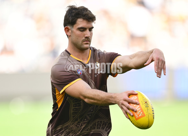 AFL 2025 Round 06 - Geelong v Hawthorn - A-58835449