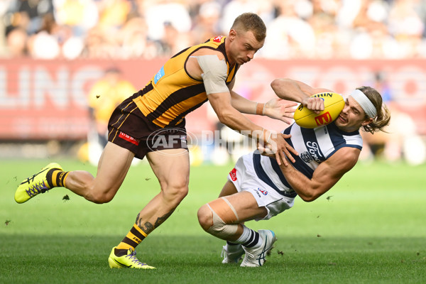AFL 2025 Round 06 - Geelong v Hawthorn - A-58835463