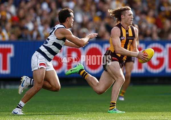 AFL 2025 Round 06 - Geelong v Hawthorn - A-58835471