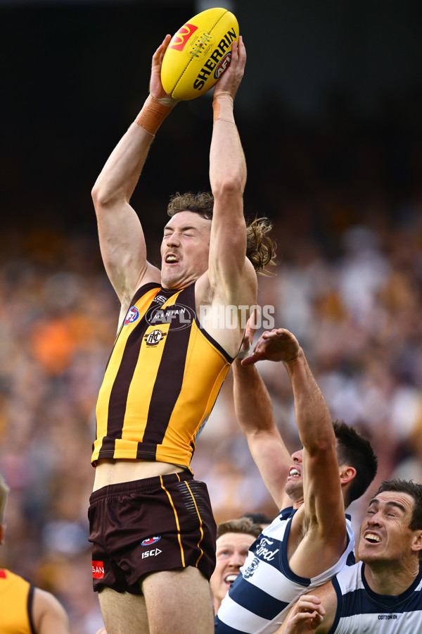 AFL 2025 Round 06 - Geelong v Hawthorn - A-58835476