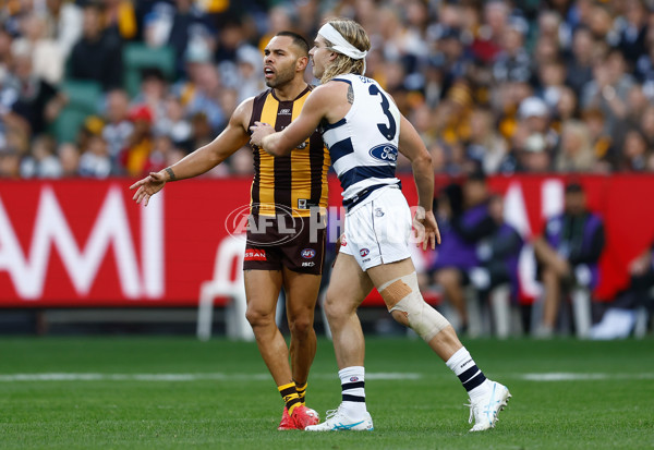 AFL 2025 Round 06 - Geelong v Hawthorn - A-58835479