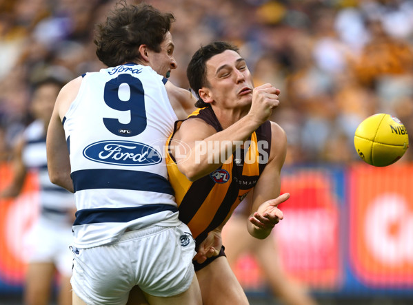 AFL 2025 Round 06 - Geelong v Hawthorn - A-58835481