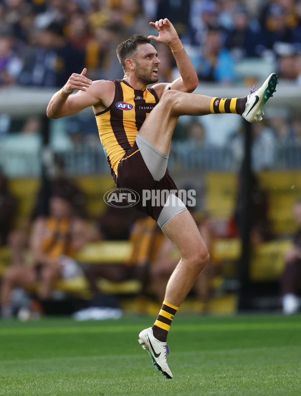 AFL 2025 Round 06 - Geelong v Hawthorn - A-58835486