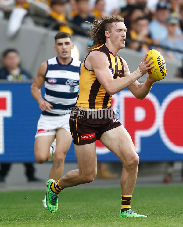 AFL 2025 Round 06 - Geelong v Hawthorn - A-58835493