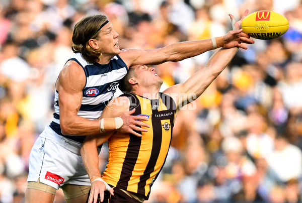 AFL 2025 Round 06 - Geelong v Hawthorn - A-58835497