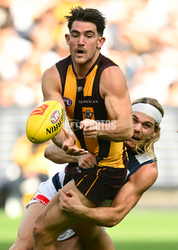 AFL 2025 Round 06 - Geelong v Hawthorn - A-58835508