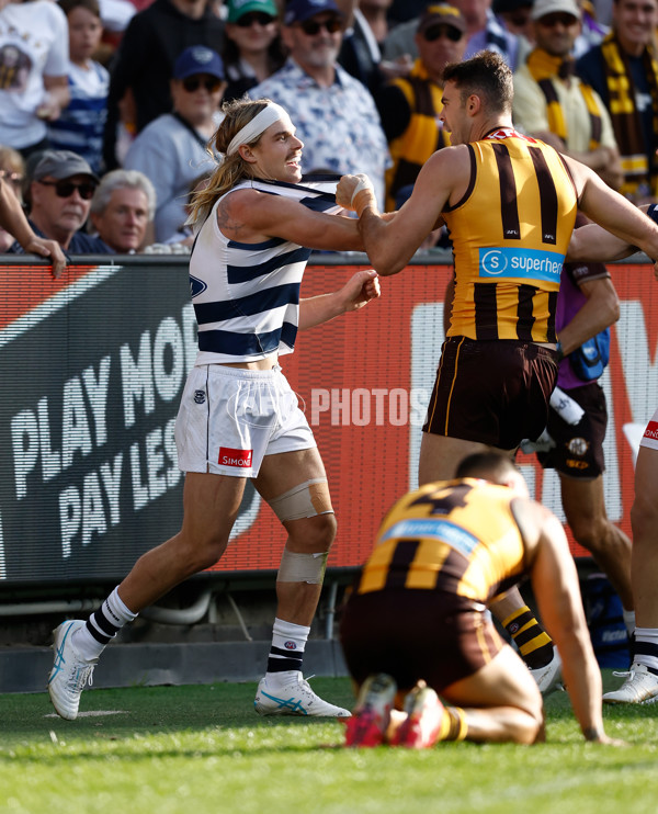 AFL 2025 Round 06 - Geelong v Hawthorn - A-58835514