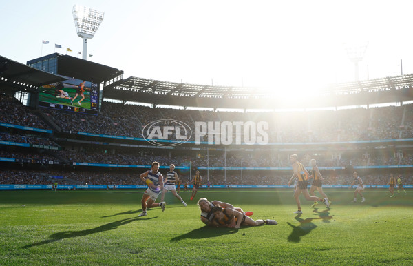AFL 2025 Round 06 - Geelong v Hawthorn - A-58835519