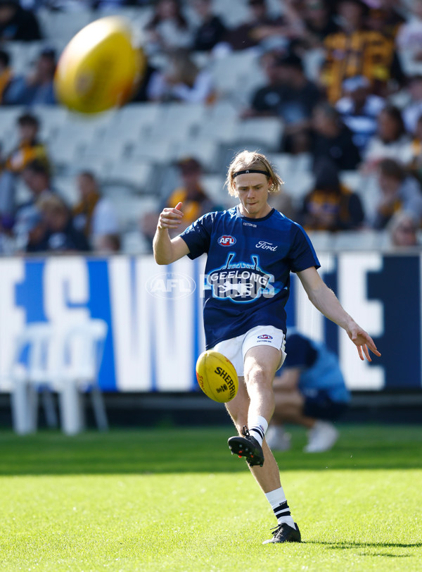 AFL 2025 Round 06 - Geelong v Hawthorn - A-58835744