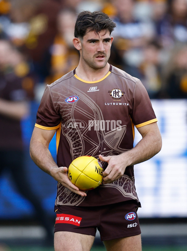 AFL 2025 Round 06 - Geelong v Hawthorn - A-58835748