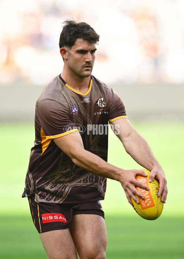 AFL 2025 Round 06 - Geelong v Hawthorn - A-58835756