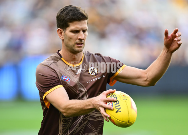 AFL 2025 Round 06 - Geelong v Hawthorn - A-58835759