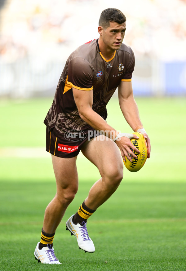 AFL 2025 Round 06 - Geelong v Hawthorn - A-58835762