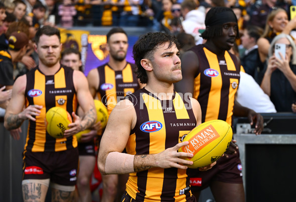 AFL 2025 Round 06 - Geelong v Hawthorn - A-58835766