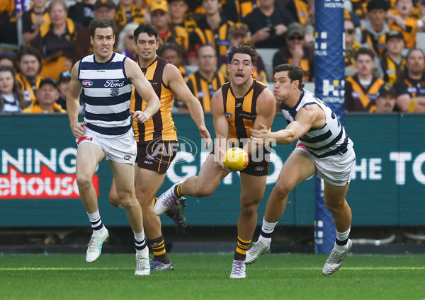 AFL 2025 Round 06 - Geelong v Hawthorn - A-58835769
