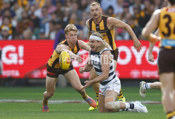 AFL 2025 Round 06 - Geelong v Hawthorn - A-58835771