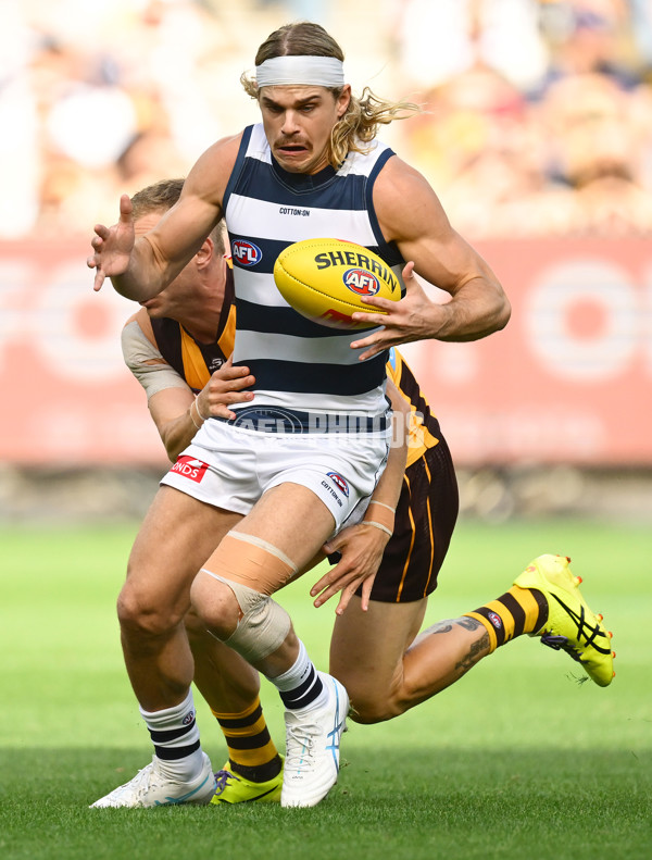 AFL 2025 Round 06 - Geelong v Hawthorn - A-58835772