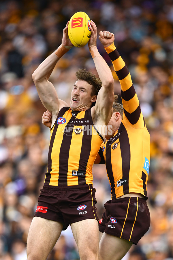 AFL 2025 Round 06 - Geelong v Hawthorn - A-58835775