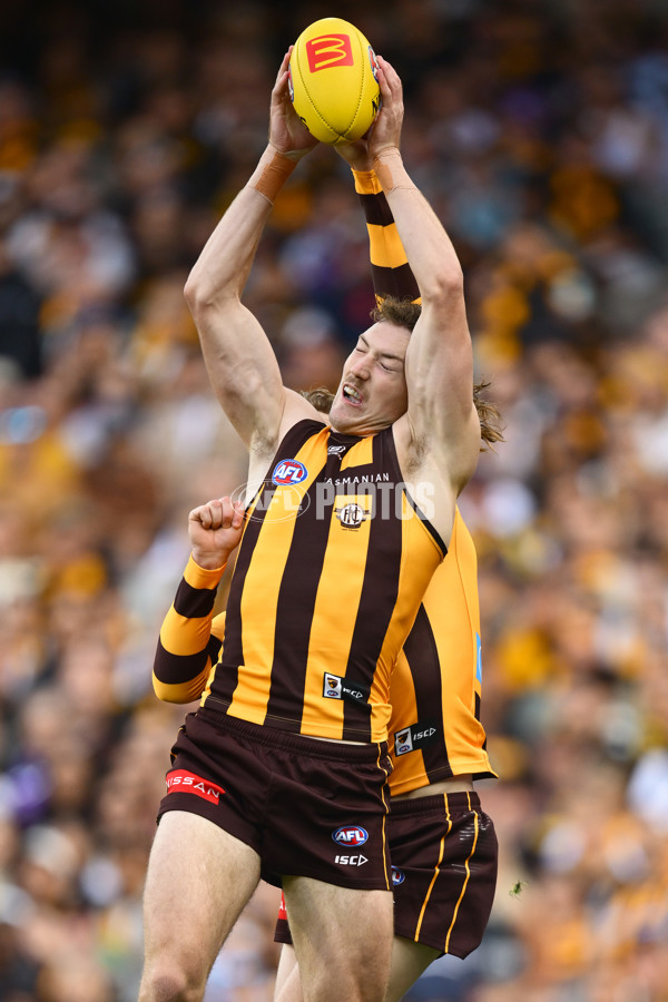 AFL 2025 Round 06 - Geelong v Hawthorn - A-58835776