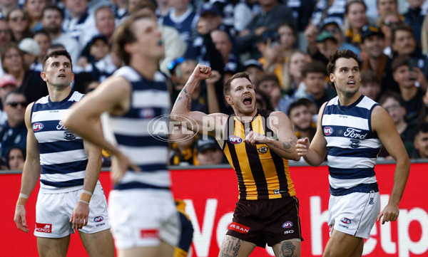 AFL 2025 Round 06 - Geelong v Hawthorn - A-58835777