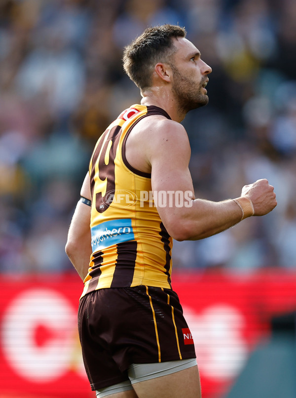 AFL 2025 Round 06 - Geelong v Hawthorn - A-58835781