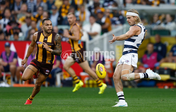AFL 2025 Round 06 - Geelong v Hawthorn - A-58835784