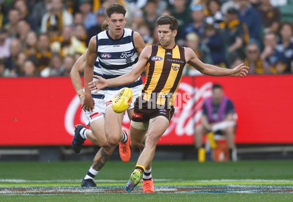 AFL 2025 Round 06 - Geelong v Hawthorn - A-58835790