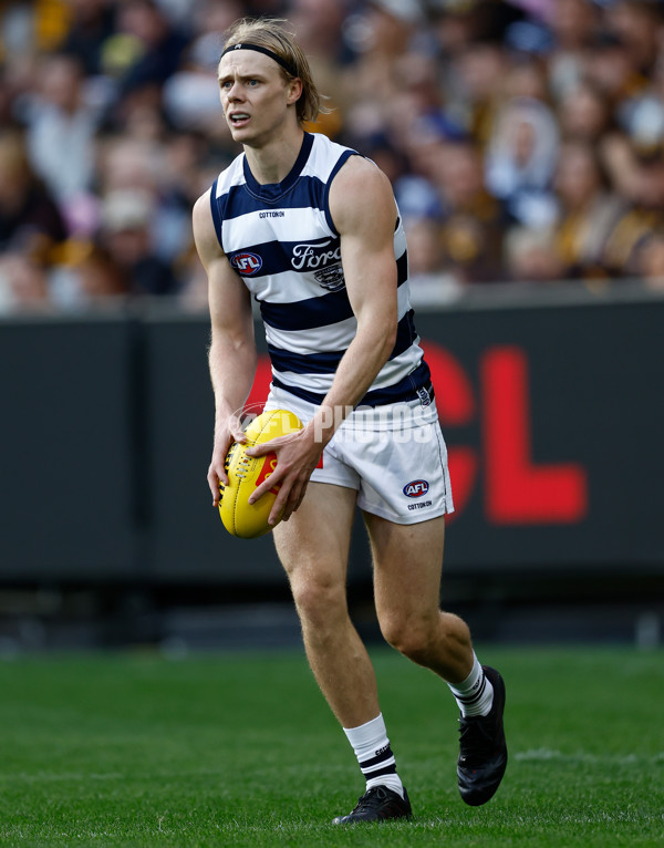 AFL 2025 Round 06 - Geelong v Hawthorn - A-58835791