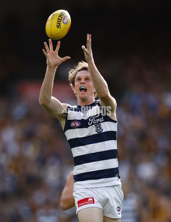 AFL 2025 Round 06 - Geelong v Hawthorn - A-58835792